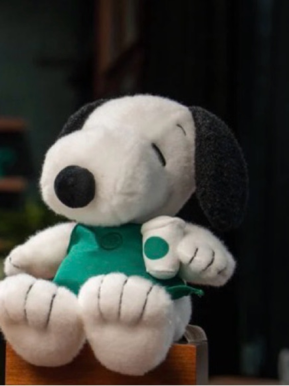 Starbucks + Snoopy Plush